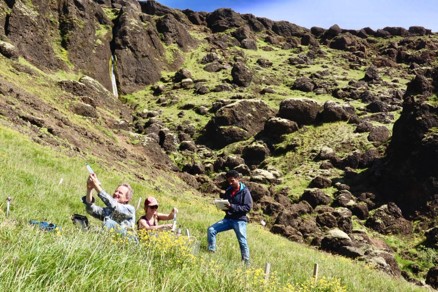 Manual chamber flux measurements